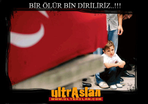bir olur bin diriliriz